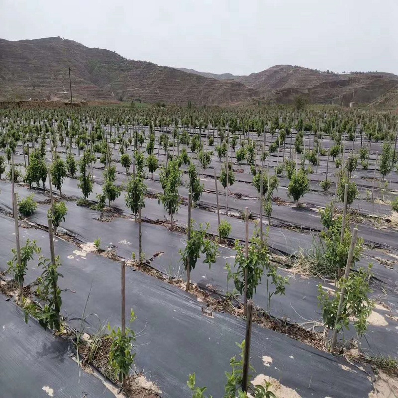 ������ ���ݲ�