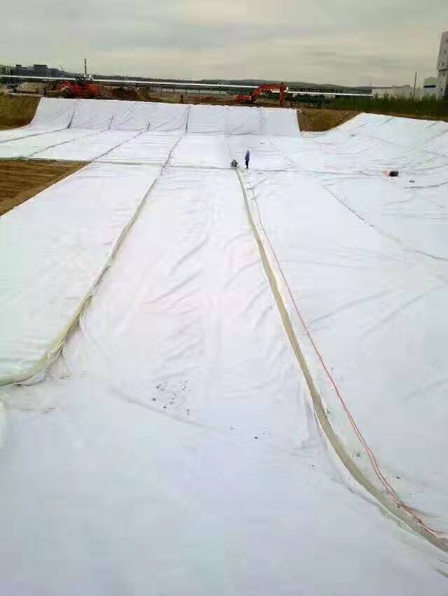 �L�z��(f��)������Ĥ